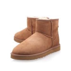 Ugg Classic Short Mini in Chestnut Brown